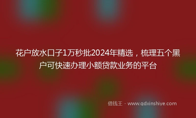 花户放水口子1万秒批2024年精选，梳理五个黑户可快速办理小额贷款业务的平台