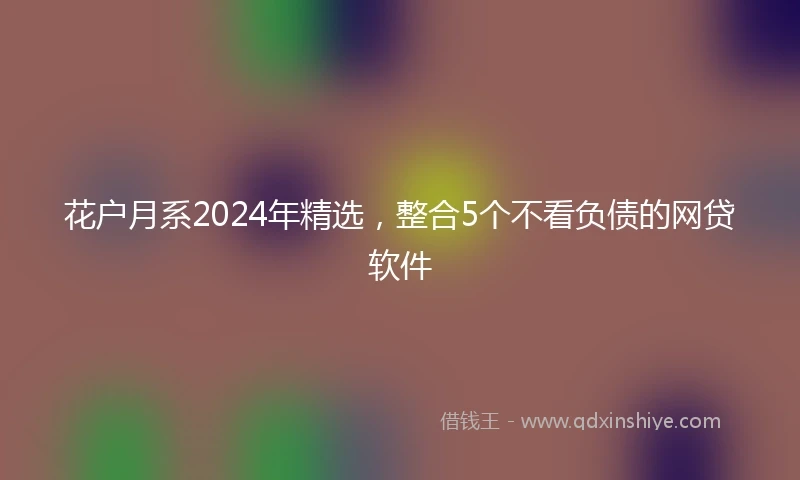 花户月系2024年精选，整合5个不看负债的网贷软件