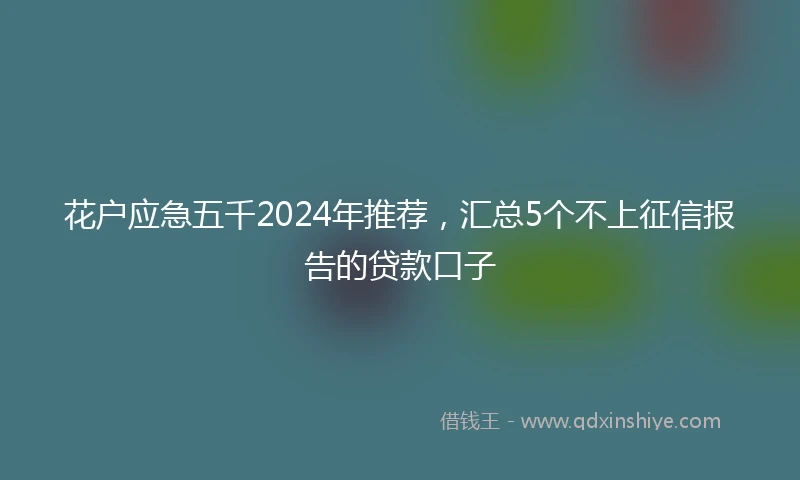 花户应急五千2024年推荐，汇总5个不上征信报告的贷款口子