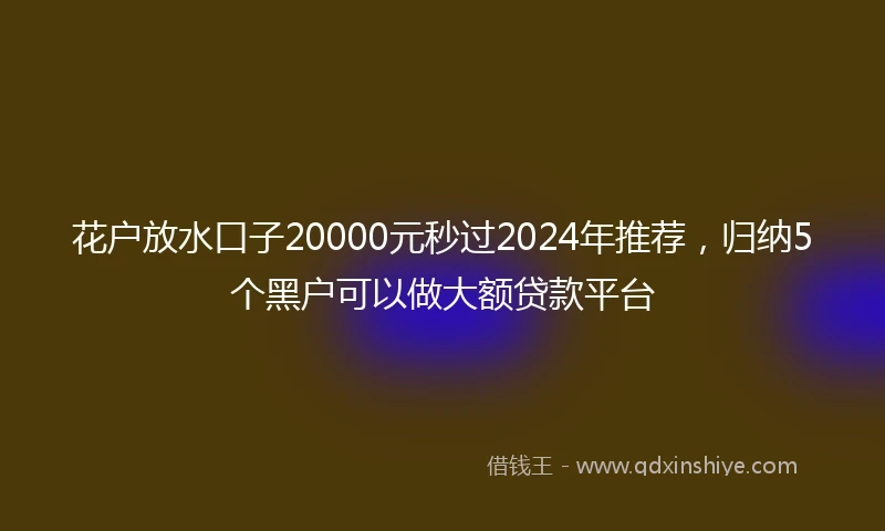 花户放水口子20000元秒过2024年推荐，归纳5个黑户可以做大额贷款平台