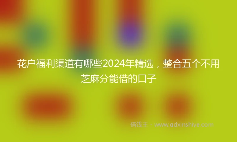 花户福利渠道有哪些2024年精选，整合五个不用芝麻分能借的口子