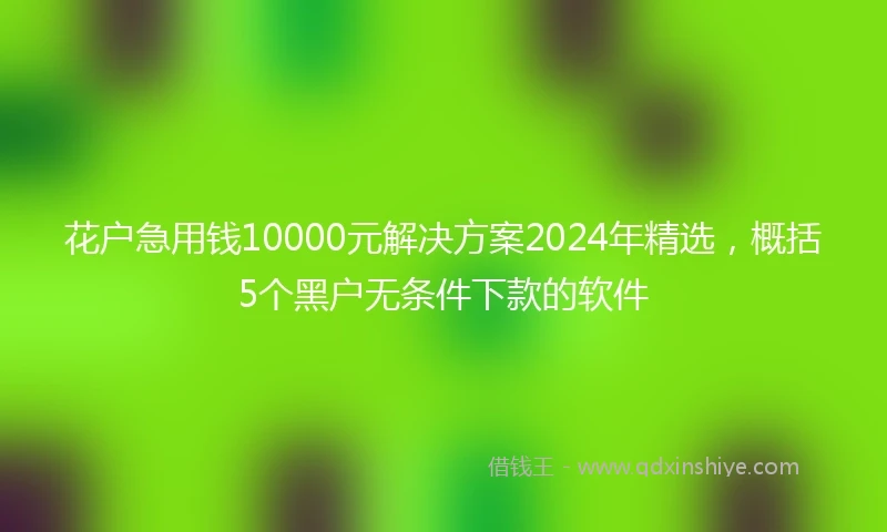 花户急用钱10000元解决方案2024年精选,概括5个黑户无条件下款的软件