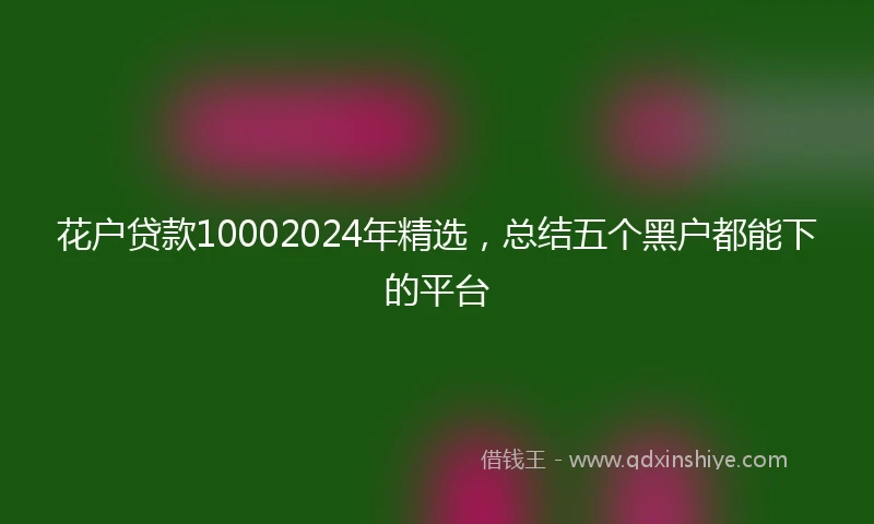 花户贷款10002024年精选，总结五个黑户都能下的平台
