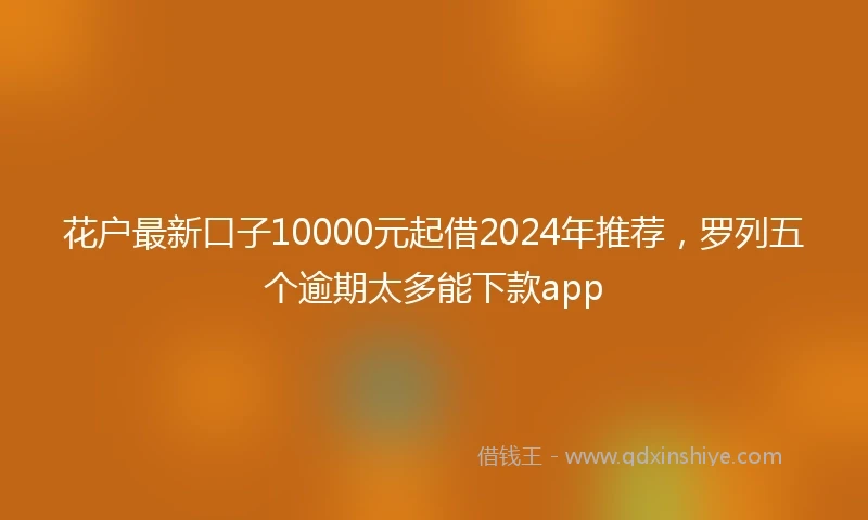 花户最新口子10000元起借2024年推荐，罗列五个逾期太多能下款app