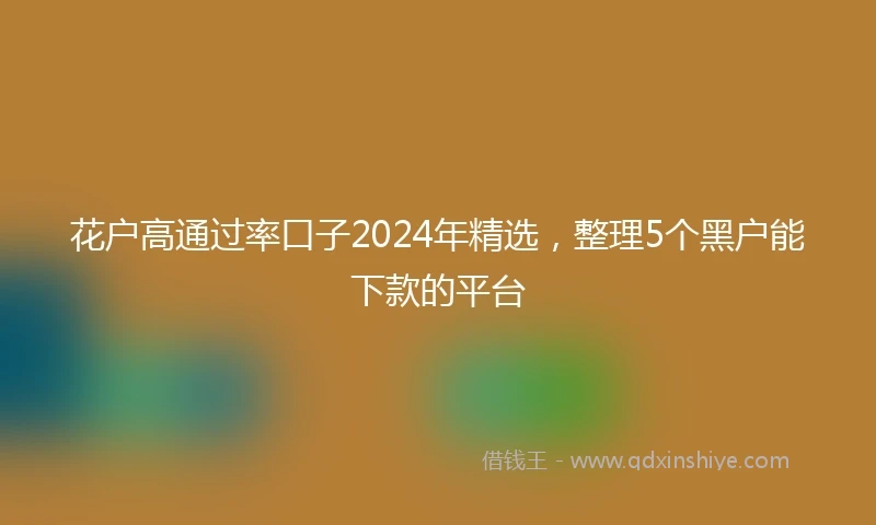 花户高通过率口子2024年精选，整理5个黑户能下款的平台