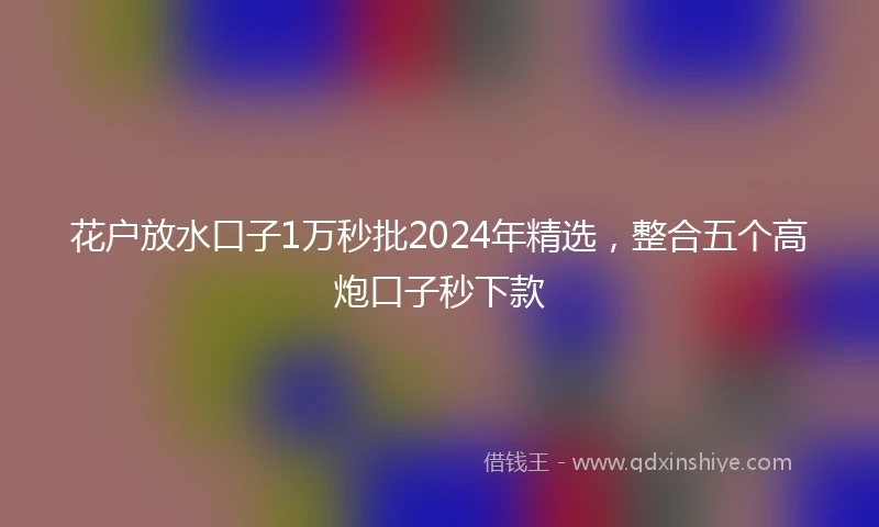 花户放水口子1万秒批2024年精选，整合五个高炮口子秒下款