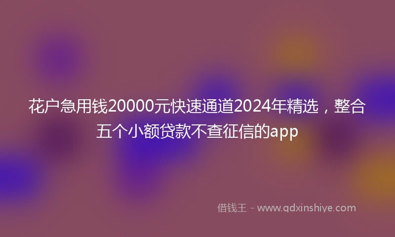 花户急用钱20000元快速通道2024年精选，整合五个小额贷款不查征信的app
