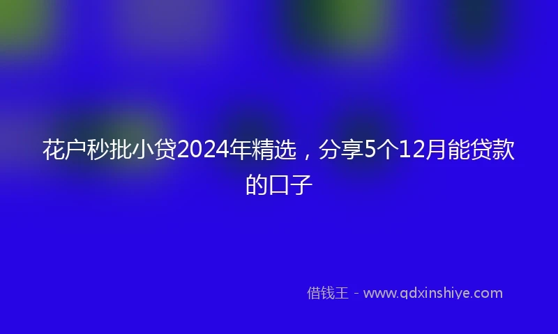 花户秒批小贷2024年精选，分享5个12月能贷款的口子