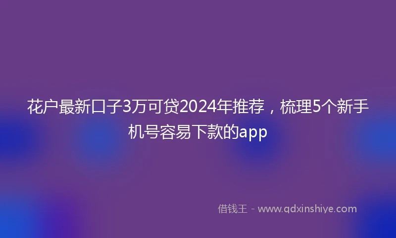 花户最新口子3万可贷2024年推荐，梳理5个新手机号容易下款的app