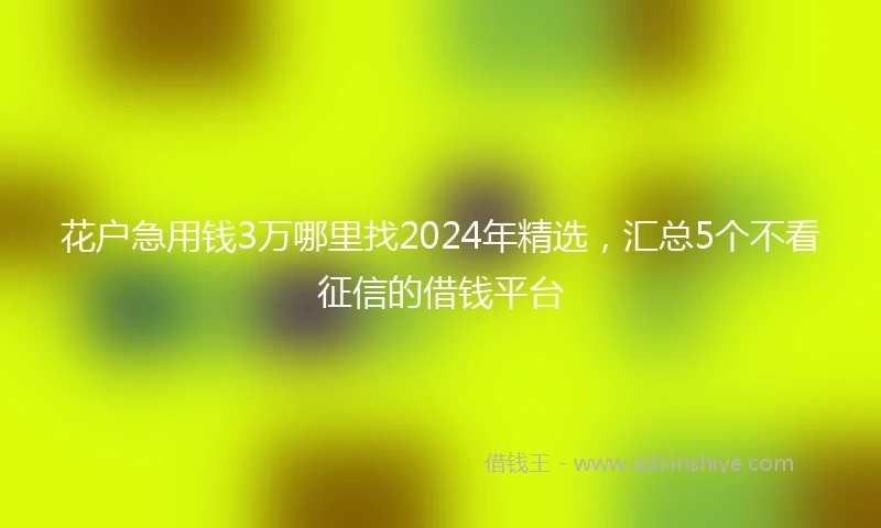 花户急用钱3万哪里找2024年精选，汇总5个不看征信的借钱平台