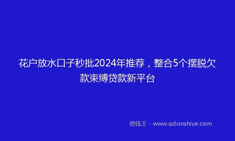 花户放水口子秒批2024年推荐，整合5个摆脱欠款束缚贷款新平台