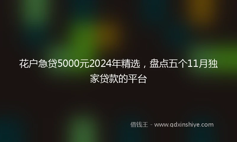 花户急贷5000元2024年精选，盘点五个11月独家贷款的平台