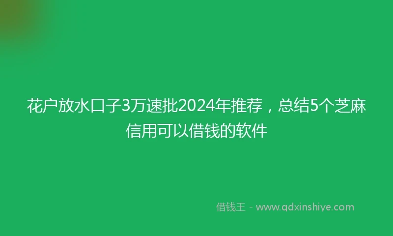 花户放水口子3万速批2024年推荐，总结5个芝麻信用可以借钱的软件