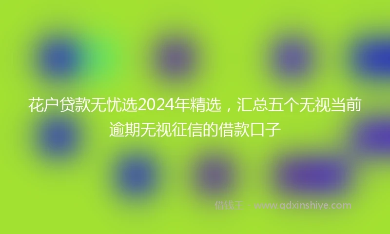 花户贷款无忧选2024年精选，汇总五个无视当前逾期无视征信的借款口子