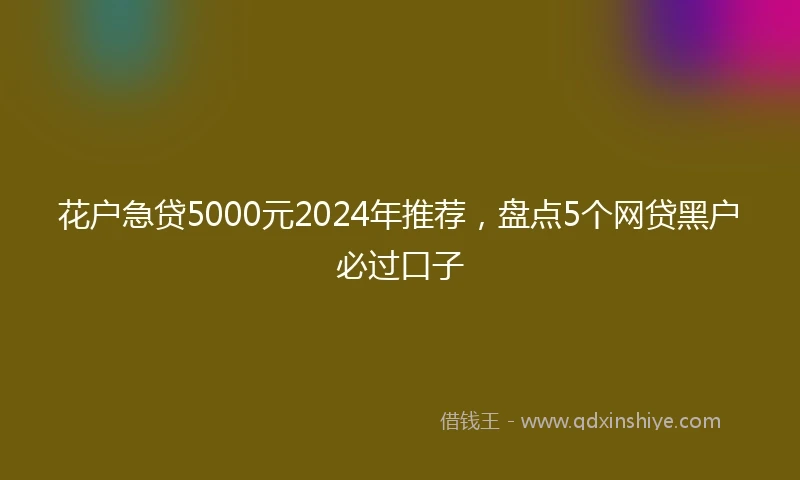 花户急贷5000元2024年推荐，盘点5个网贷黑户必过口子