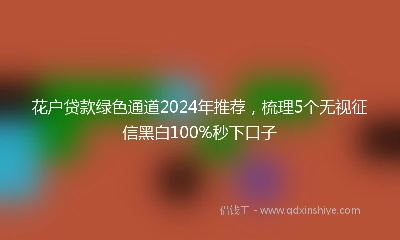 花户贷款绿色通道2024年推荐，梳理5个无视征信黑白100%秒下口子