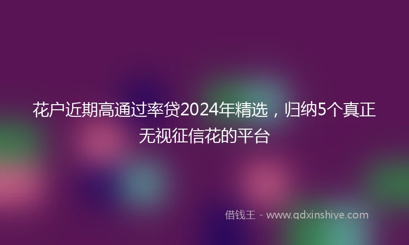 花户近期高通过率贷2024年精选，归纳5个真正无视征信花的平台