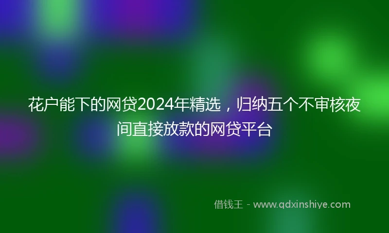 花户能下的网贷2024年精选，归纳五个不审核夜间直接放款的网贷平台