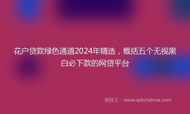 花户贷款绿色通道2024年精选，概括五个无视黑白必下款的网贷平台