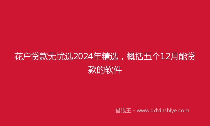 花户贷款无忧选2024年精选，概括五个12月能贷款的软件