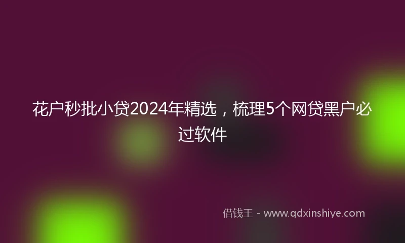 花户秒批小贷2024年精选，梳理5个网贷黑户必过软件