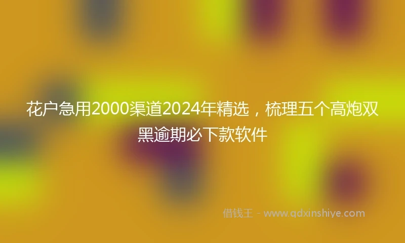 花户急用2000渠道2024年精选，梳理五个高炮双黑逾期必下款软件