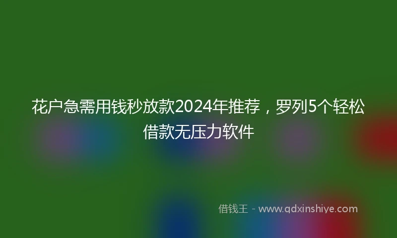 花户急需用钱秒放款2024年推荐，罗列5个轻松借款无压力软件