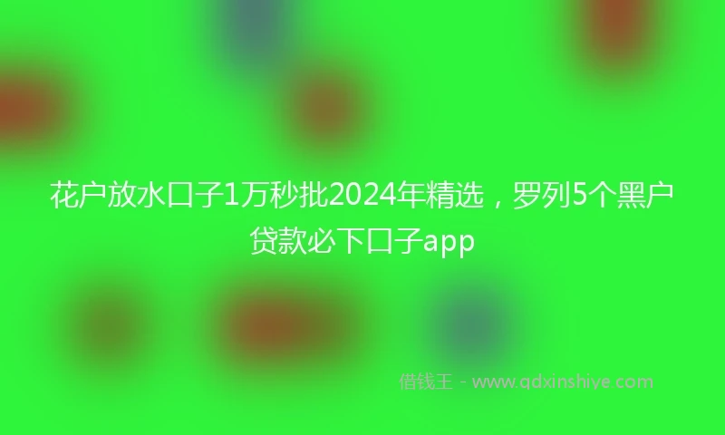 花户放水口子1万秒批2024年精选，罗列5个黑户贷款必下口子app