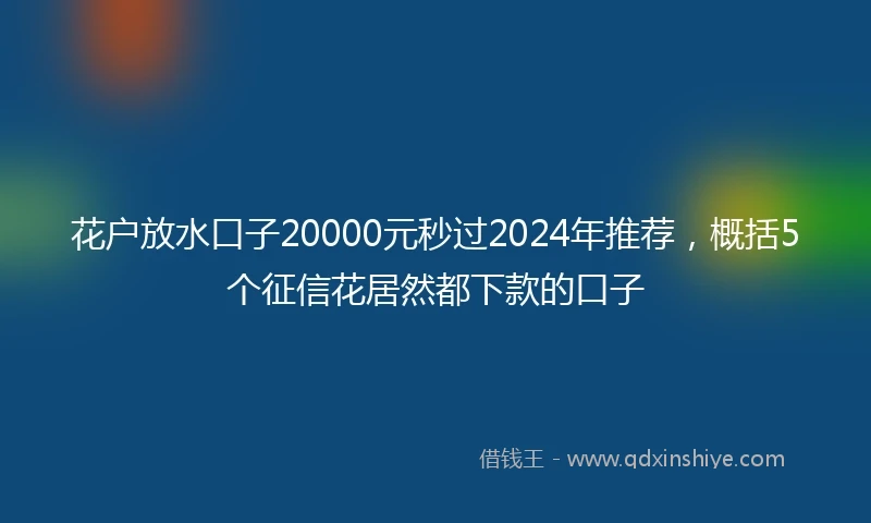 花户放水口子20000元秒过2024年推荐，概括5个征信花居然都下款的口子