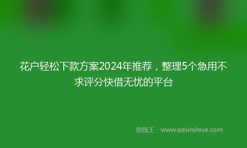 花户轻松下款方案2024年推荐，整理5个急用不求评分快借无忧的平台