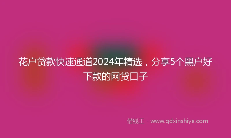 花户贷款快速通道2024年精选，分享5个黑户好下款的网贷口子
