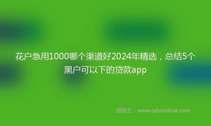 花户急用1000哪个渠道好2024年精选，总结5个黑户可以下的贷款app