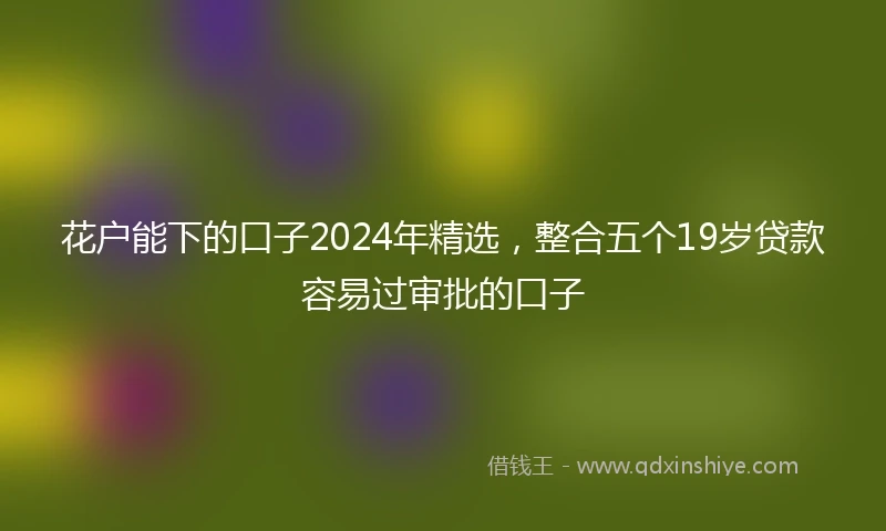 花户能下的口子2024年精选，整合五个19岁贷款容易过审批的口子