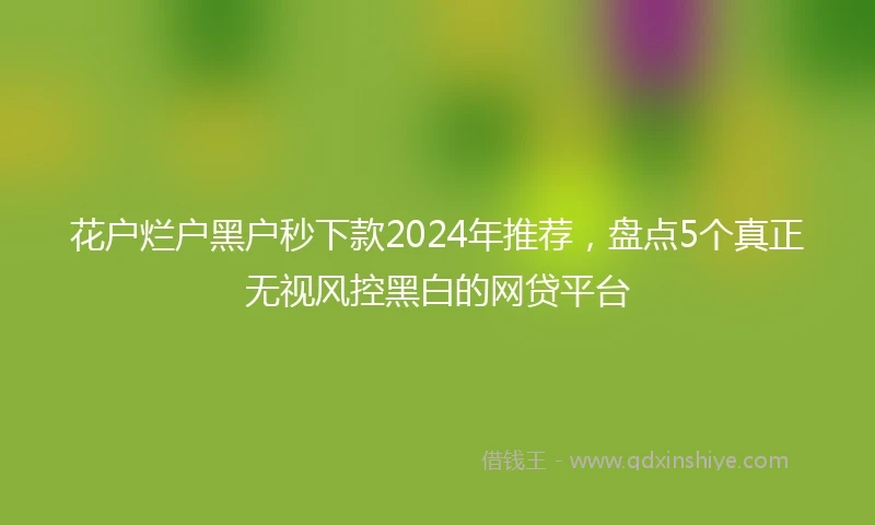 花户烂户黑户秒下款2024年推荐，盘点5个真正无视风控黑白的网贷平台
