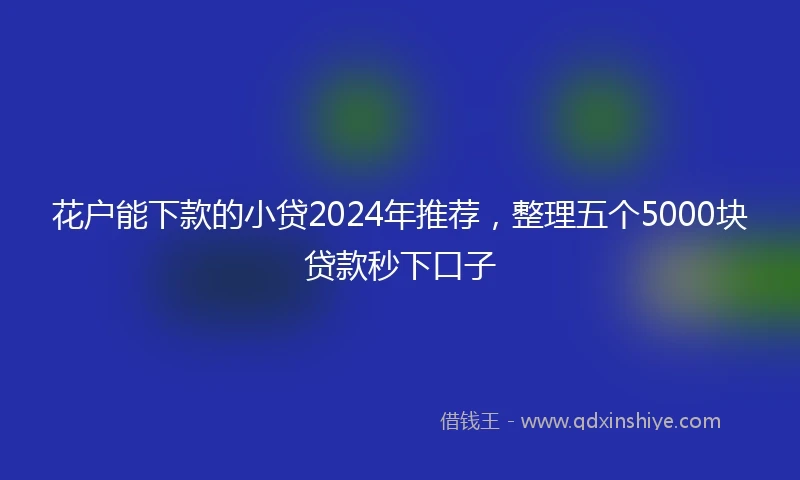 花户能下款的小贷2024年推荐，整理五个5000块贷款秒下口子