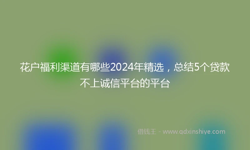 花户福利渠道有哪些2024年精选，总结5个贷款不上诚信平台的平台