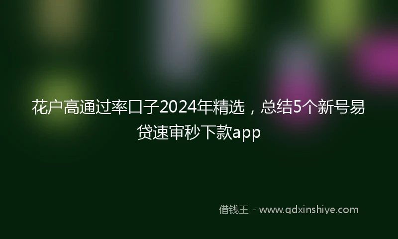 花户高通过率口子2024年精选，总结5个新号易贷速审秒下款app