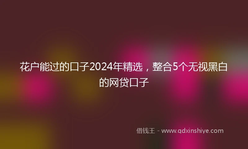 花户能过的口子2024年精选，整合5个无视黑白的网贷口子
