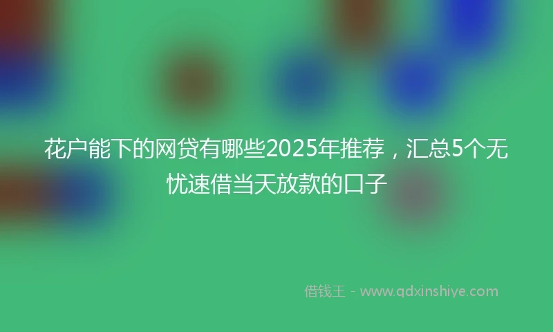 花户能下的网贷有哪些2025年推荐，汇总5个无忧速借当天放款的口子