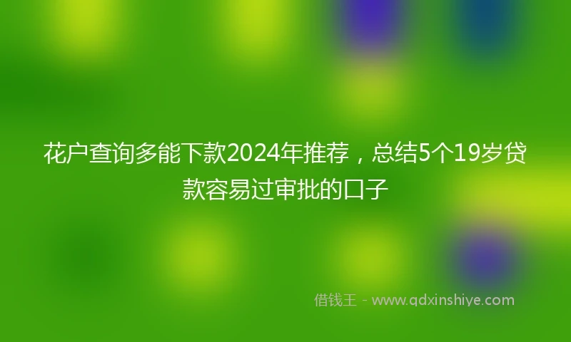 花户查询多能下款2024年推荐，总结5个19岁贷款容易过审批的口子