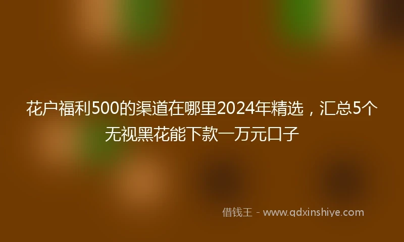 花户福利500的渠道在哪里2024年精选，汇总5个无视黑花能下款一万元口子
