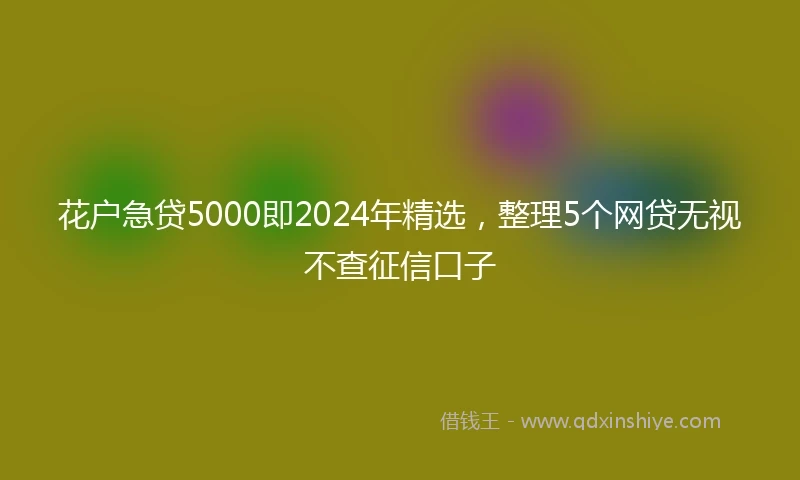 花户急贷5000即2024年精选，整理5个网贷无视不查征信口子