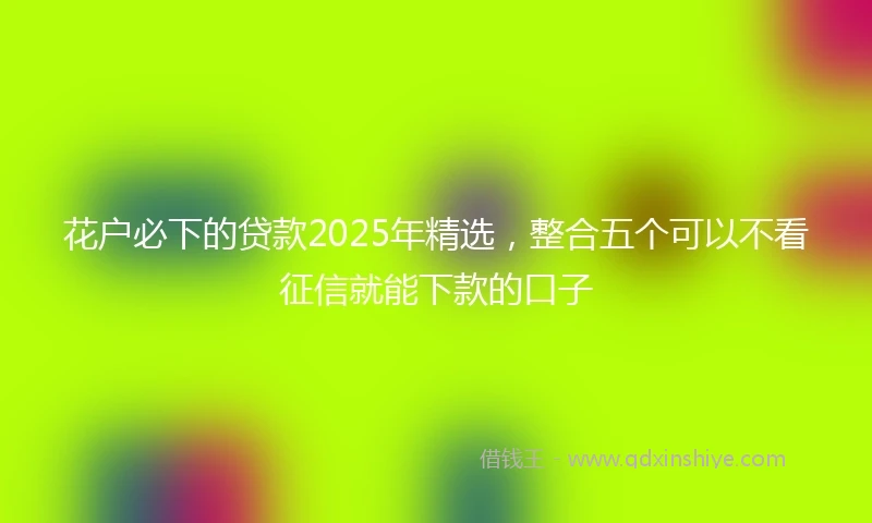 花户必下的贷款2025年精选，整合五个可以不看征信就能下款的口子