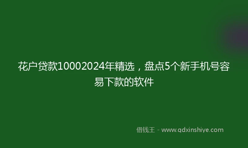 花户贷款10002024年精选，盘点5个新手机号容易下款的软件
