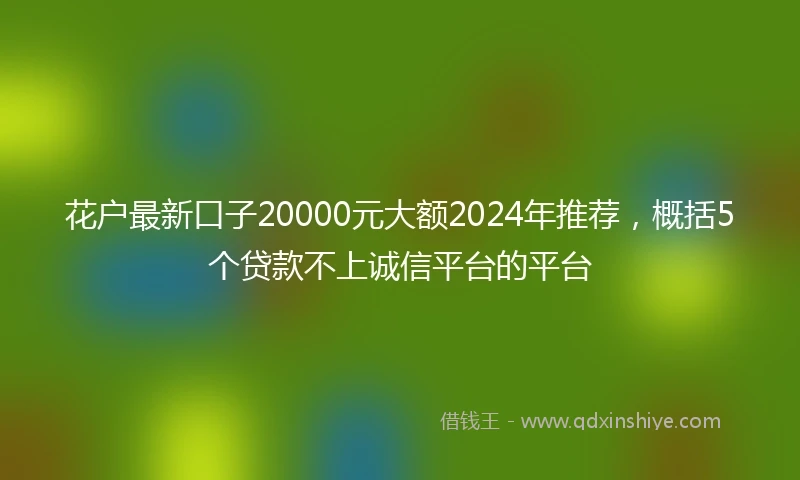 花户最新口子20000元大额2024年推荐，概括5个贷款不上诚信平台的平台