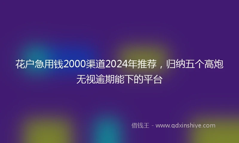 花户急用钱2000渠道2024年推荐,归纳五个高炮无视逾期能下的平台