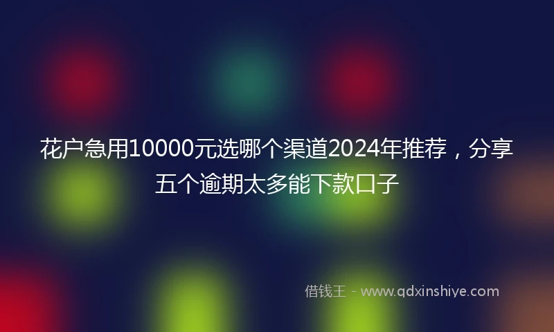 花户急用10000元选哪个渠道2024年推荐，分享五个逾期太多能下款口子