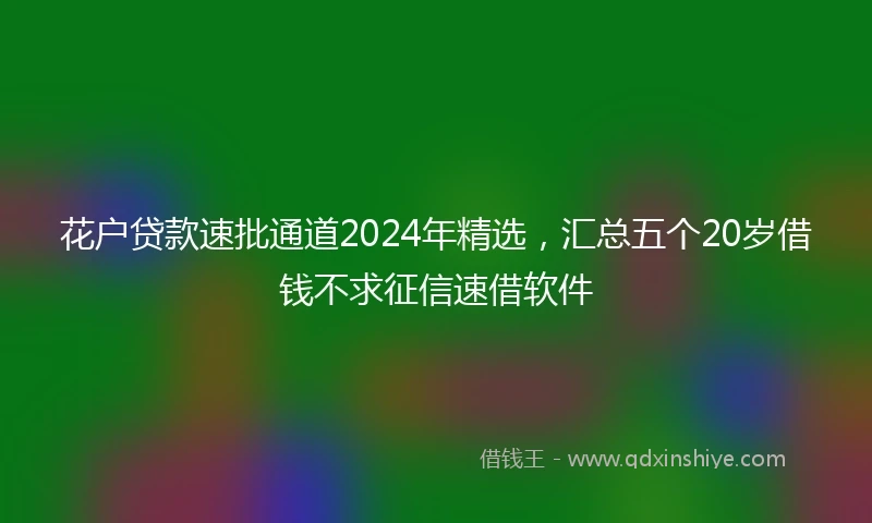 花户贷款速批通道2024年精选，汇总五个20岁借钱不求征信速借软件