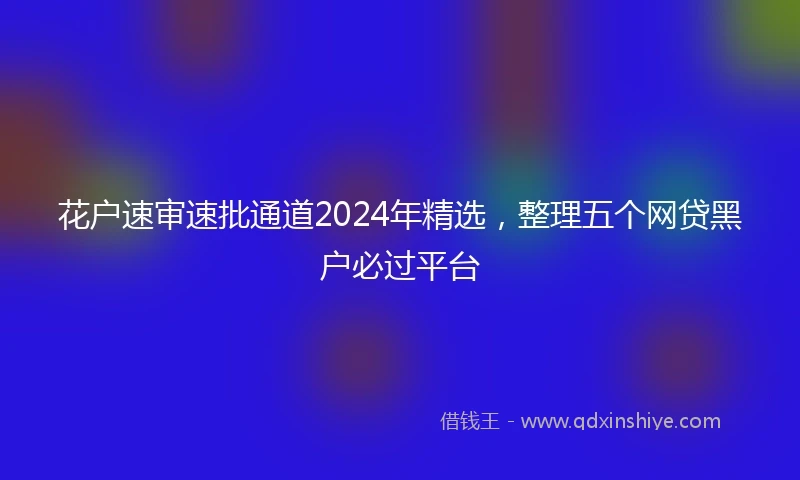 花户速审速批通道2024年精选，整理五个网贷黑户必过平台