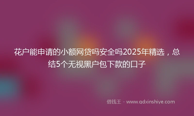 花户能申请的小额网贷吗安全吗2025年精选，总结5个无视黑户包下款的口子